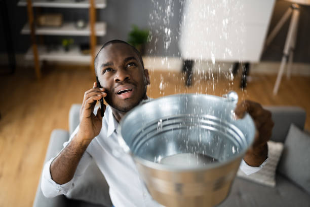 Best Ceiling water damage repair  in Chelan, WA