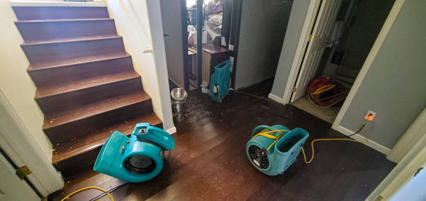Best Professional water damage repair  in Chelan, WA