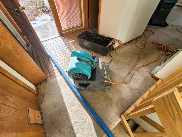 Carpet water damage restoration in WA