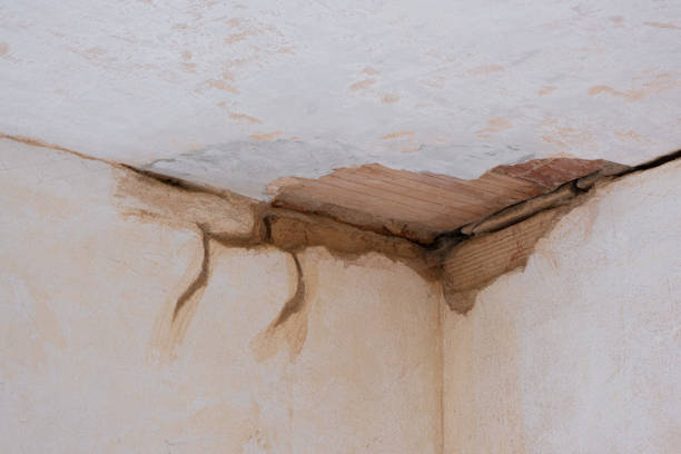 Best Carpet water damage restoration  in Chelan, WA