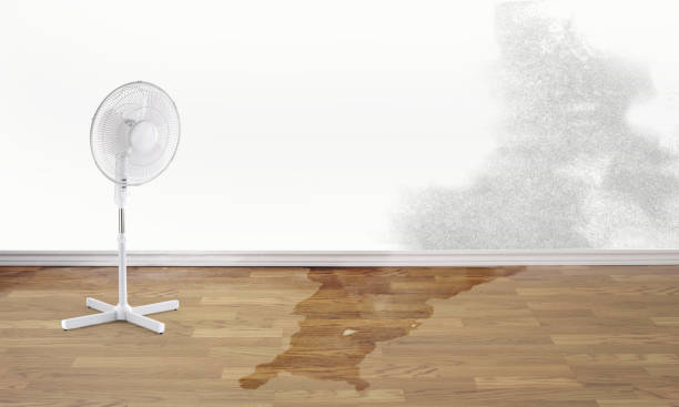 Best Water damage restoration experts  in Chelan, WA