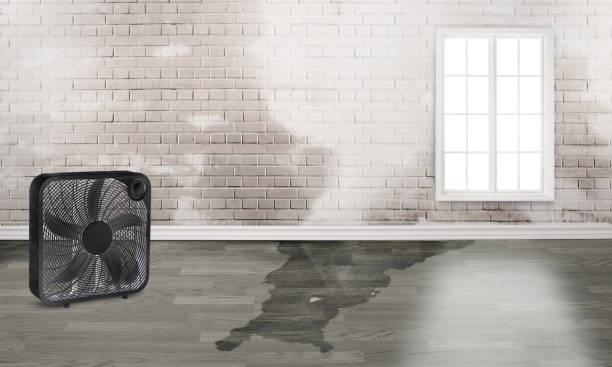 Best Water damage contractors near me  in Chelan, WA
