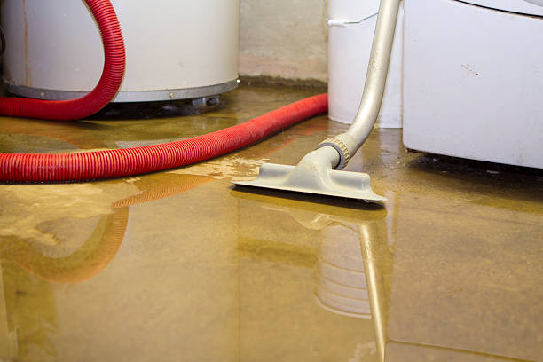 Best Professional water damage repair  in Chelan, WA