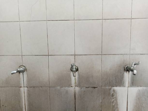 Best Flood damage cleanup  in Chelan, WA