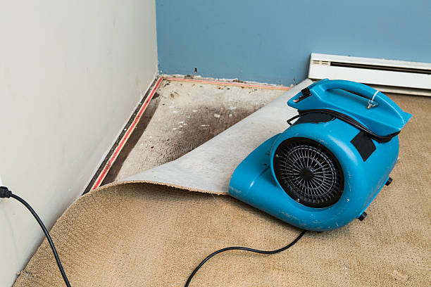 Best Flood restoration services  in Chelan, WA
